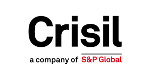CRISIL BB+ Financial Stability Rating